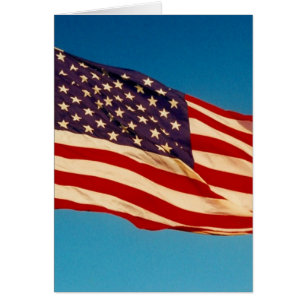waving flag usa
