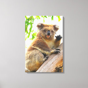 WAVING KOALA 16x24 Canvas Print