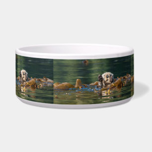 Waving Sea Otter