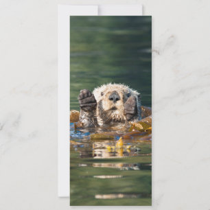 Waving Sea Otter Card