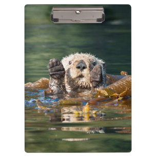 Waving Sea Otter Clipboard