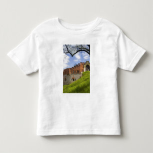 Wawel Castle, Krakow, Poland Toddler T-Shirt