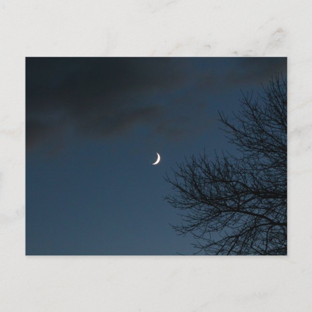 Waxing Crescent Moon In Sagittarius Postcard (Front)