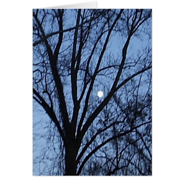 Waxing Moon  (Front)