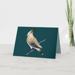 WAXWING BLANK ALL-OCCASION CARD