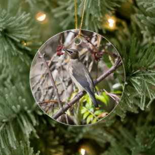 Waxwing Portrait, Grey Plumage and Yellow Tail Ceramic Tree Decoration