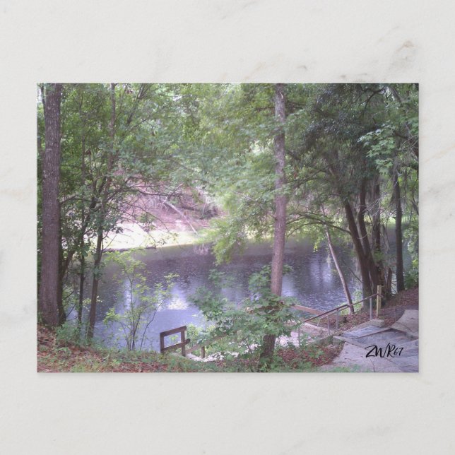 Way down upon a Suwannee River white Springs Fl.  Postcard (Front)