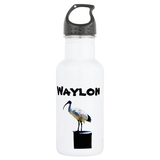 Waylon Name With Bin Chicken, Water Bottle (Front)