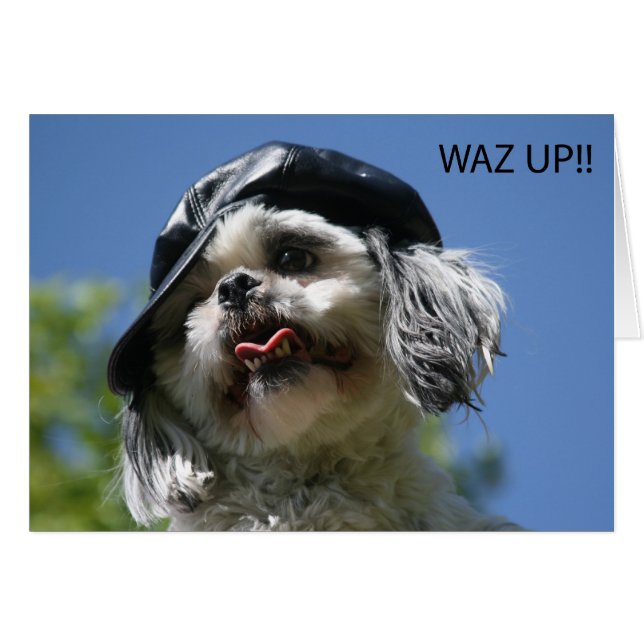 waz up (Front Horizontal)