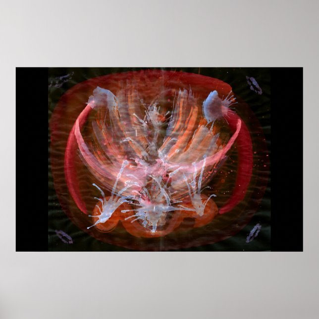 WDV - 041 - Kindle Poster (Front)