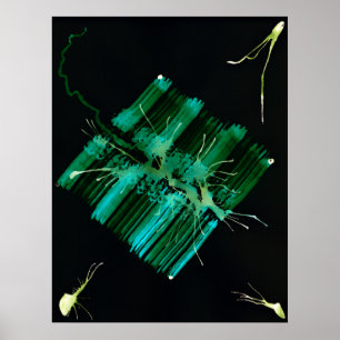 WDV - 059 - Searching Poster