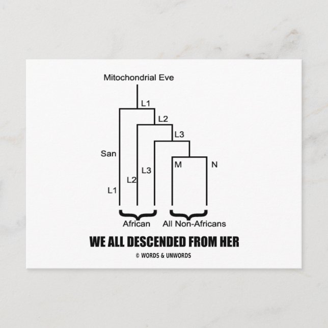We All Descended From Her (Mitochondrial Eve) Postcard (Front)