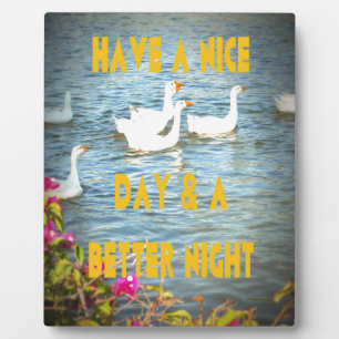 We always leave our customers happy & satisfied. plaque