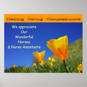 We Appreciate Wonderful Nurses CNAs Nursing poster