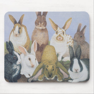 We are All Ears Mouse Pad