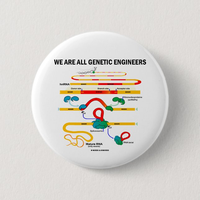 We Are All Genetic Engineers (RNA Splicing) 6 Cm Round Badge (Front)
