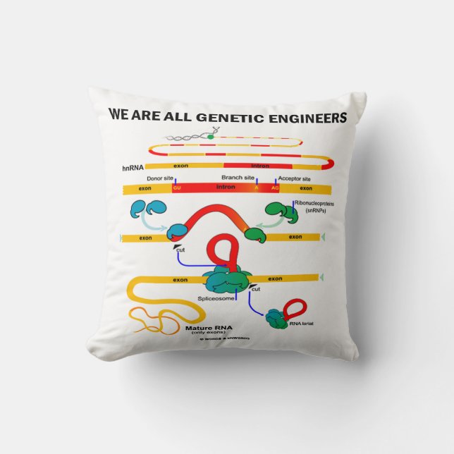 We Are All Genetic Engineers RNA Splicing Humour Cushion (Front)