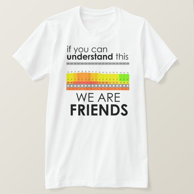 We are friends Kiteboarding T-Shirt (Design Front)