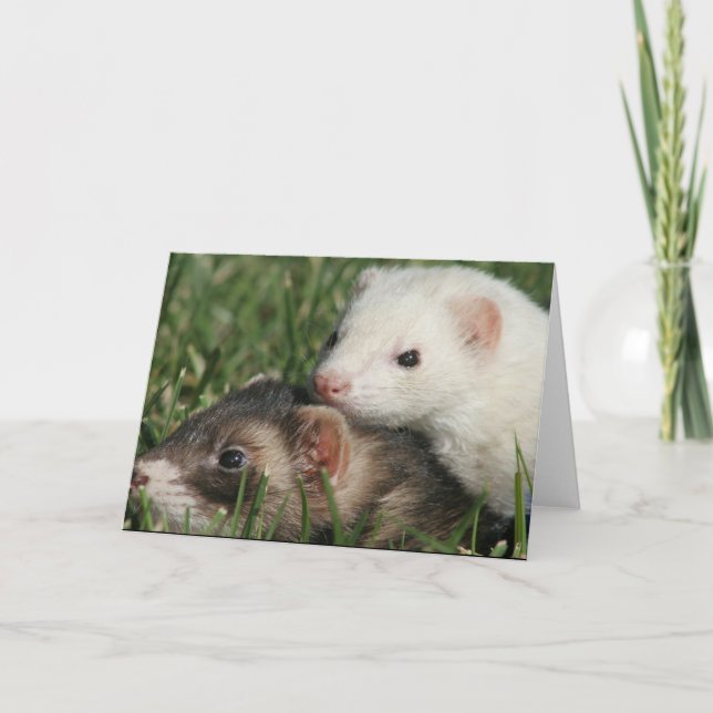 We are Friends. Sleepy Friends Ferrets Holiday Card (Front)