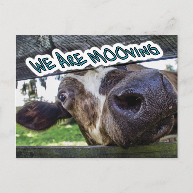 We are Mooving Postcard (Front)