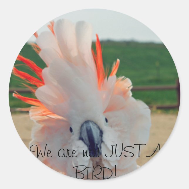 We are not JUST A BIRD! Classic Round Sticker (Front)