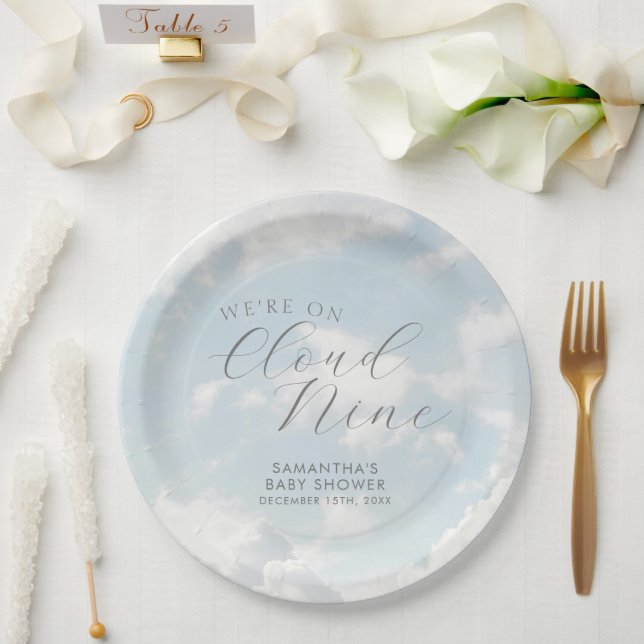 We Are On Cloud Nine Blue Clouds Baby Shower Paper Plate (Wedding)