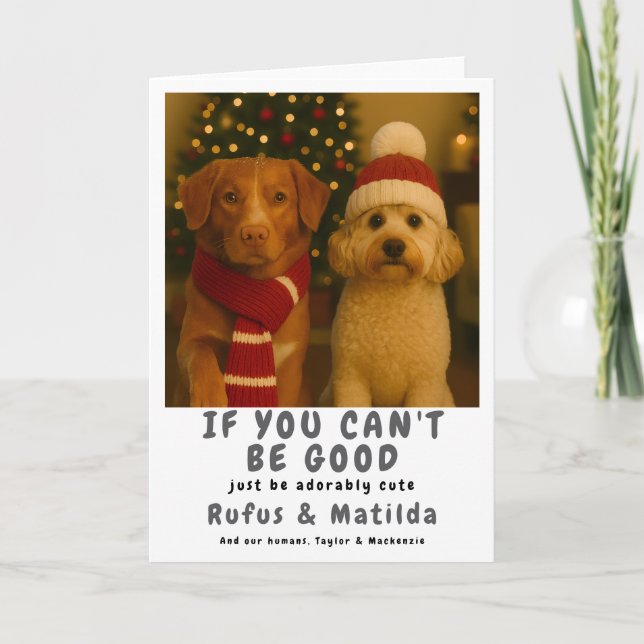 We Are on The Naughty List Dog Christmas Photo Holiday Card (Front)