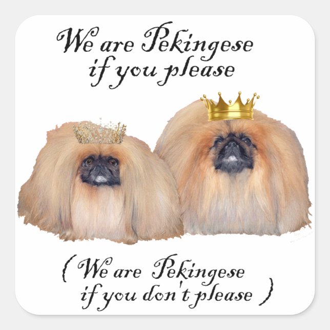We are Pekingese Square Sticker (Front)