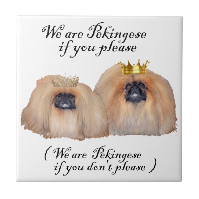 We are Pekingese Tile (Front)