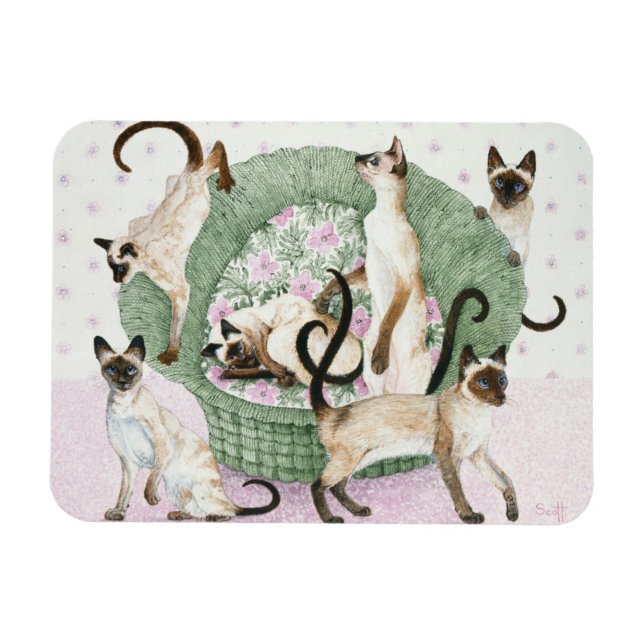 We are Siamese if you please Magnet (Horizontal)
