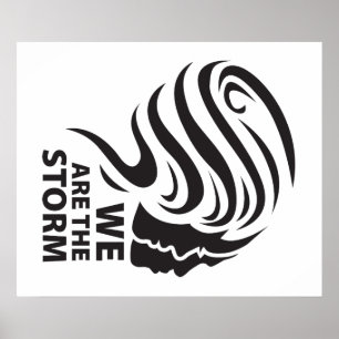 We are the Storm Poster