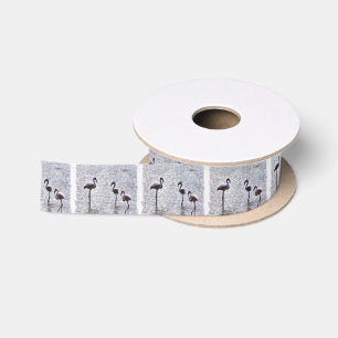 We Are The Three Flamingos Watercolor Satin Ribbon