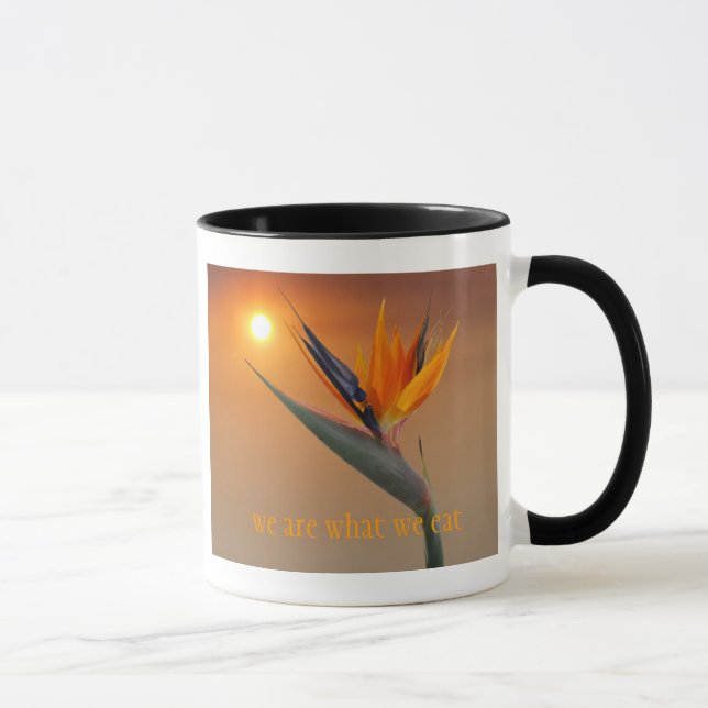 we are what we eat mug (Right)