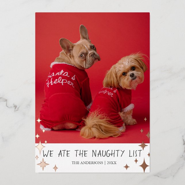 We Ate the Naughty List Pet Foil Holiday Card (Front)