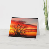 We Belong To The Same Family Tree Birthday Humour