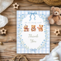 We Can Bearly Wait Blue Gingham Baby Shower 