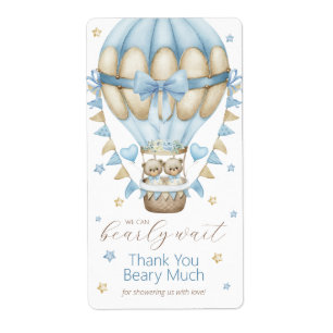 We Can Bearly Wait Twin Boy Thank You