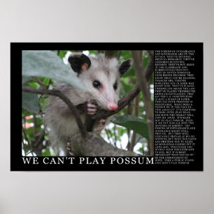 We Can't Play Possum Poster