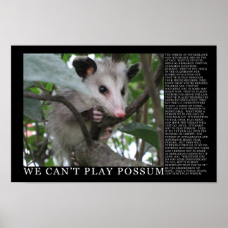 We Can't Play Possum Poster