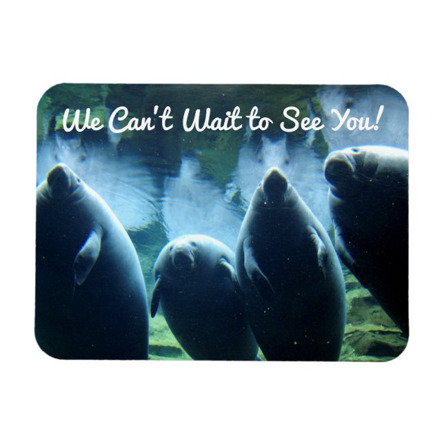 We Can't Wait to See You! Manatees Magnet (Horizontal)