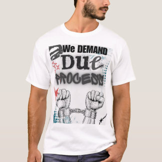 We Demand DUE PROCESS – Graffiti-Style Protest Pos T-Shirt