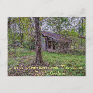 We do not own these woods... postcard