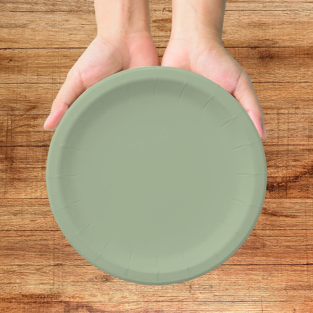 We Got Married Green Paper Plate (Creator Uploaded)