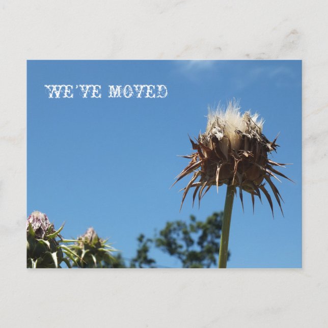 WE HAVE MOVED/ANY OCCASION POSTCARD (Front)