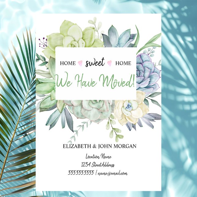 We Have Moved,Cactus Succulents Polka Dots (Creator Uploaded)