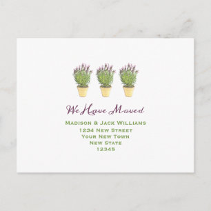 We have moved New Address New Home Postcard