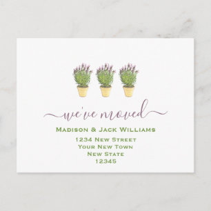 We have moved New Address New Home Postcard