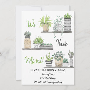 We Have Moved,Plants,Shelves