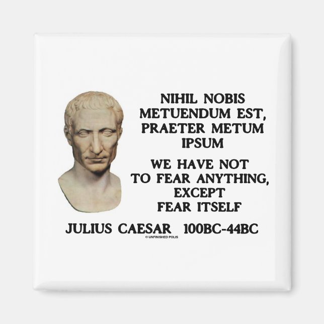 We Have Not To Fear Anything, Except Fear Itself Magnet (Front)