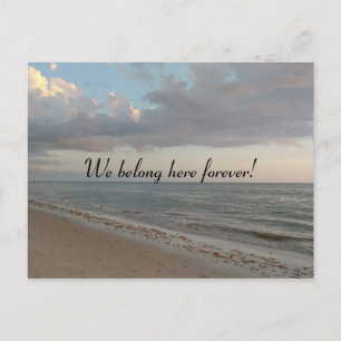 We hosted forever Cute Beach Picture Postcard